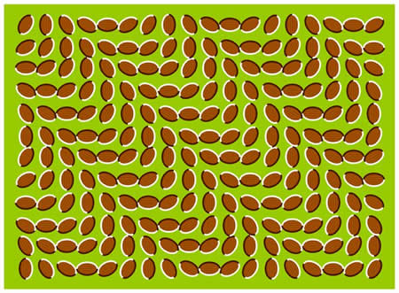 illusion-2.jpg