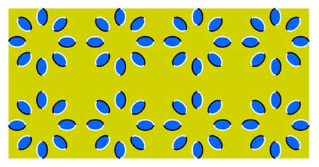 illusion.jpg